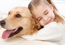 Дети Десеновского встретятся с собаками-терапевтами