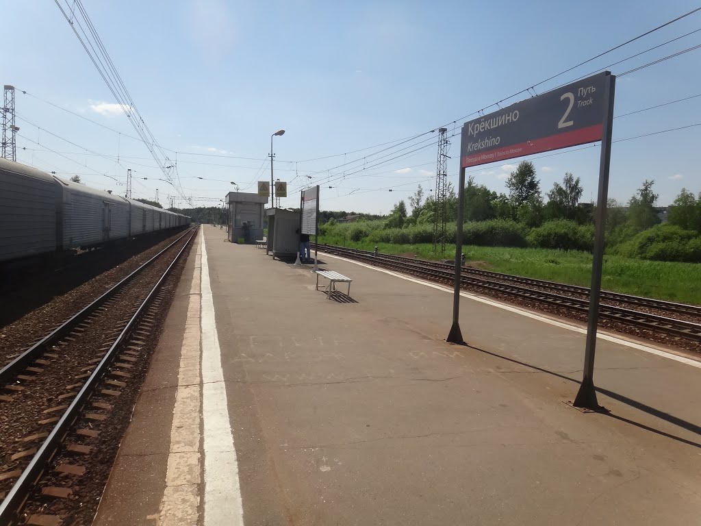 Железнодорожная станция в Новой Москве будет построена на средства инвестора