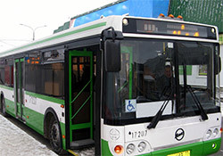 Организованы специальные рейсы 1004 автобуса