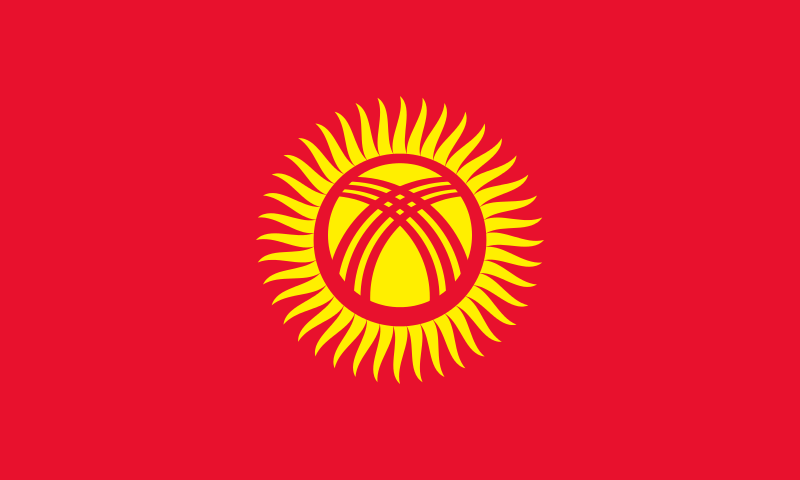Дипломатические представители Киргизии недовольны очередями в Миграционном центре Новой Москвы