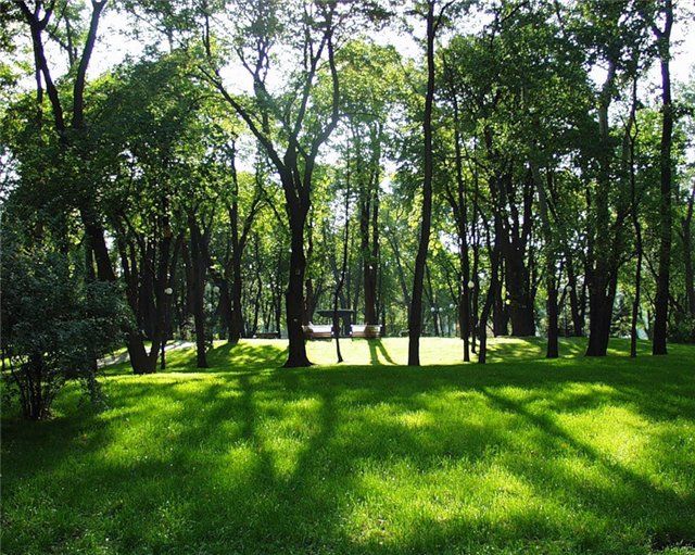 В Новой Москве зарезервировано 87 участков под новые парки