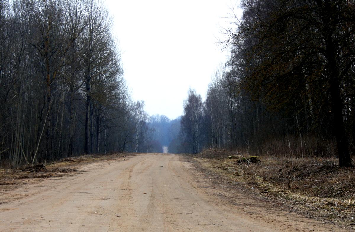 Дороги в Новой Москве рядом с дачами строиться не будут