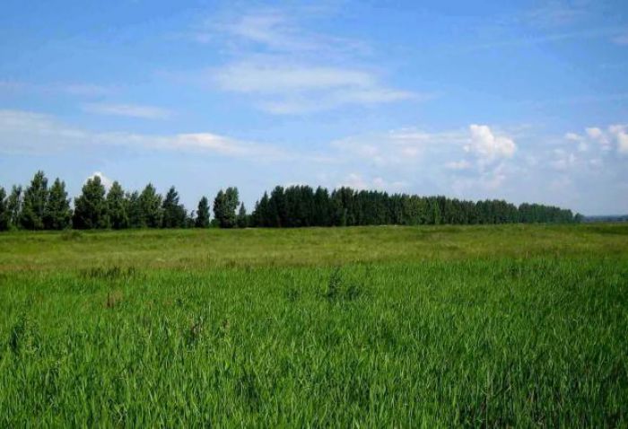 Земельный участок с водоемами в Новой Москве был возвращен судом в «общее пользование»