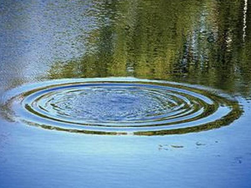 В водоеме в Новой Москве утонул человек