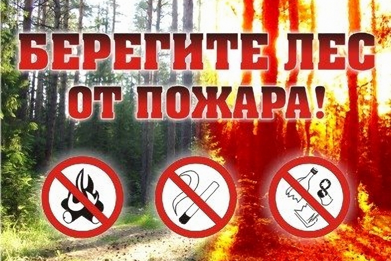 Жителям Новой Москвы напомнили о мерах безопасности в лесу