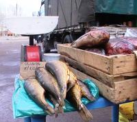 Полиция закрыла подпольный рынок оптовой торговли рыбой в ТиНАО