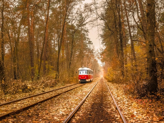 В Новой Москве к 2025 году проложат 9 трамвайных линий