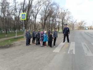 Профилактический рейд «Пешеходный переход» в Новой Москве
