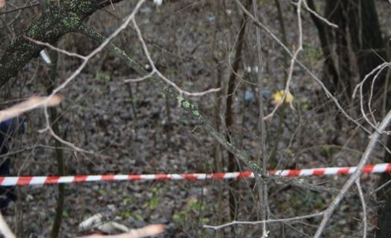 Мужчину нашли повешенным на дереве в лесу недалеко от Калужского шоссе