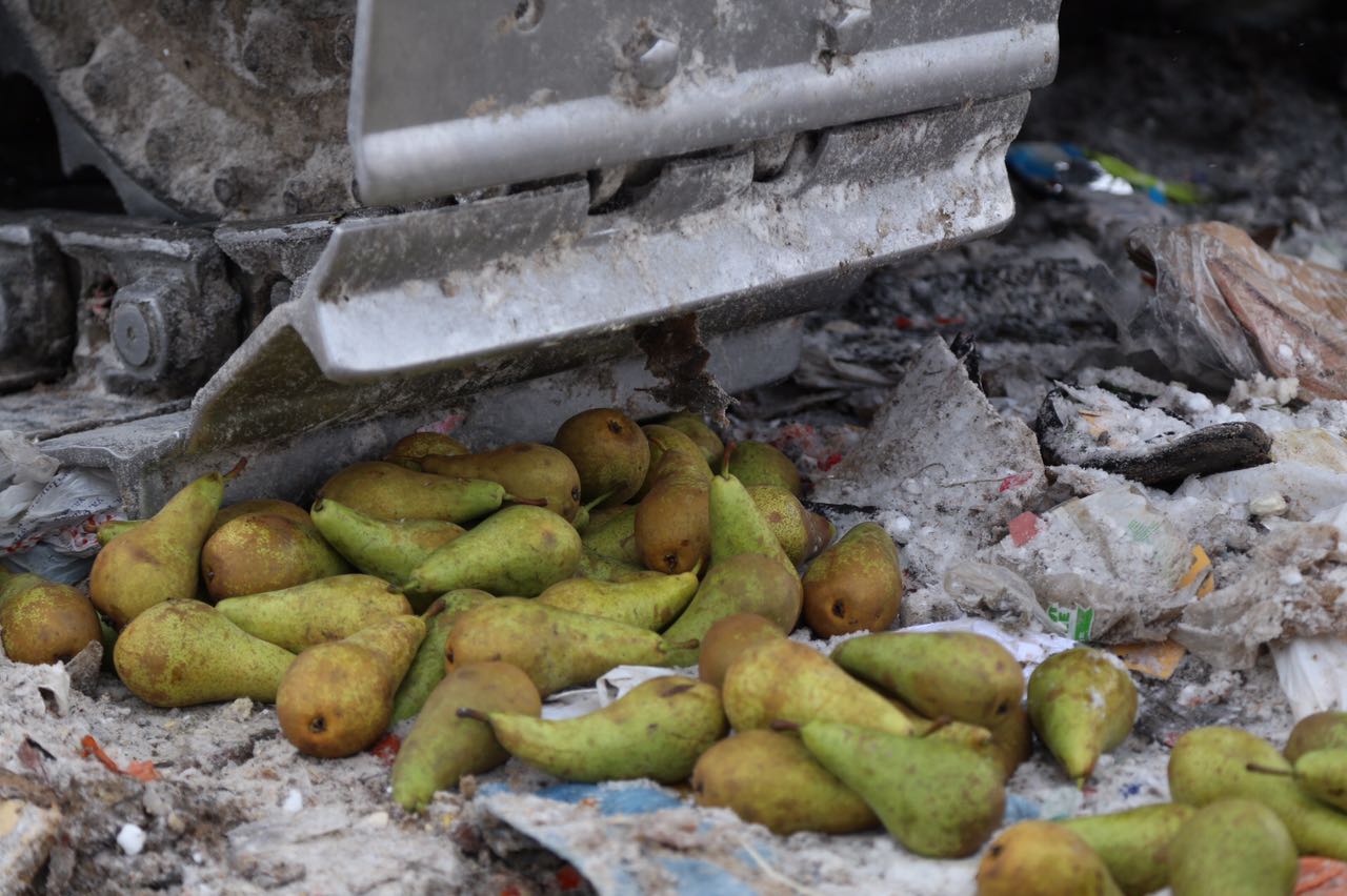 Почти 1,7 тонн яблок и груш из Польши изъял Россельхознадзор в оптово-розничном центре «Фуд Сити» в ТиНАО