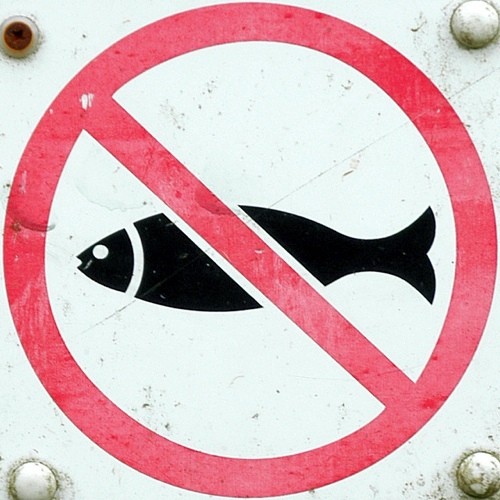 В реках и водоемах Новой Москвы с 10 апреля запрещено ловить рыбу