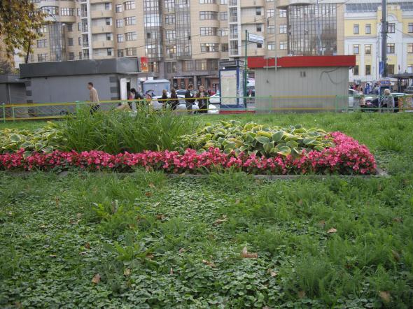 На уход за газонами в Новой Москве выделяется до 48,2 млн рублей