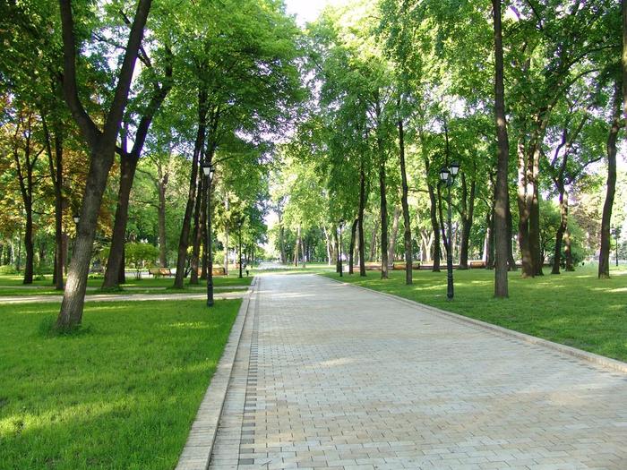 В Новой Москве предусмотрено 85 участков под благоустроенные парки