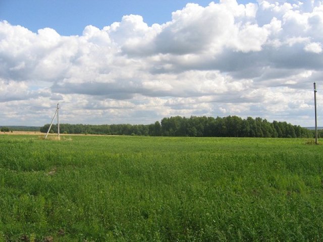 До лета 2015 года пройдет аукцион по продаже земли под агротехнопарк в Новой Москве